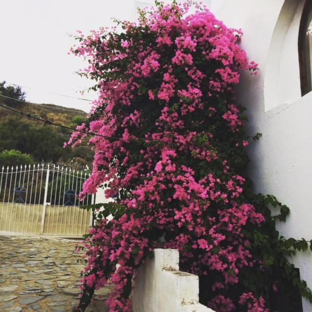 Mojacar Home With Mountain Views エクステリア 写真